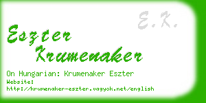 eszter krumenaker business card